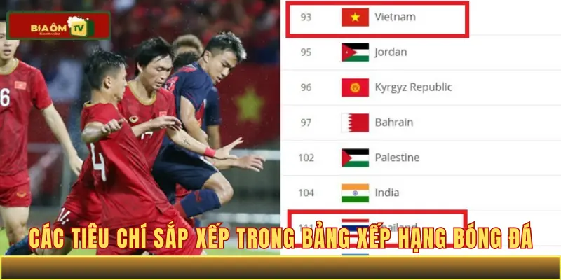 Các tiêu chí sắp xếp trong bảng xếp hạng bóng đá