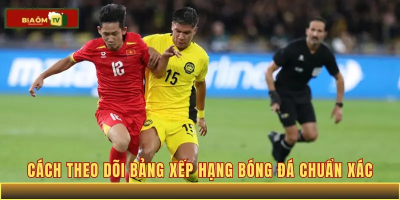 Cách theo dõi bảng xếp hạng bóng đá chuẩn xác