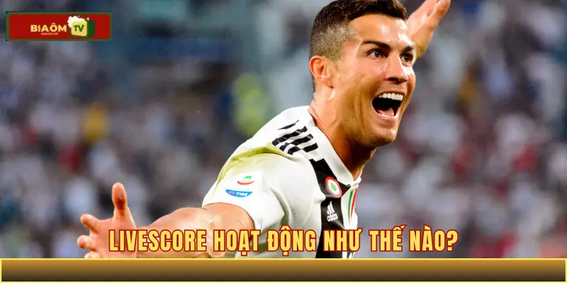 Livescore hoạt động như thế nào?