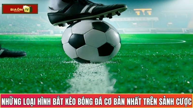 Giới thiệu những loại hình bắt kèo bóng đá cơ bản nhất trên sảnh cược